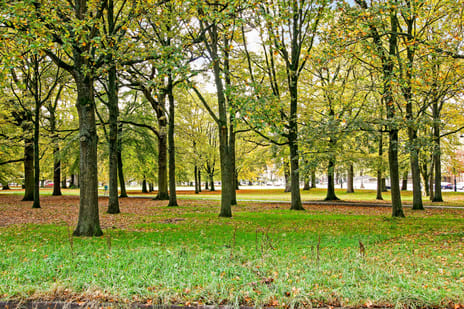 Wagenweg 166-B tertiary image
