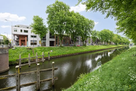 van Berckelstraat 5 main image