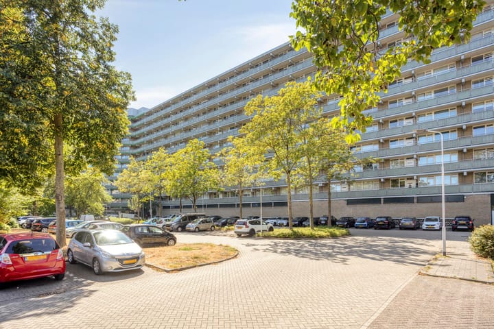 Stadhoudersring 166 main image