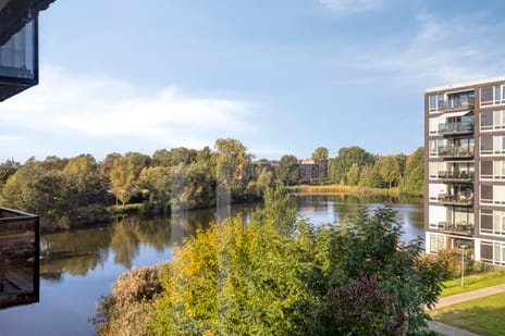 Afbeelding van Bosboompad 38 - Tweede foto