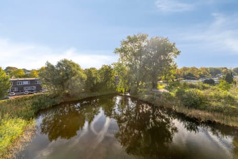Afbeelding van Bosboompad 38 - Derde foto