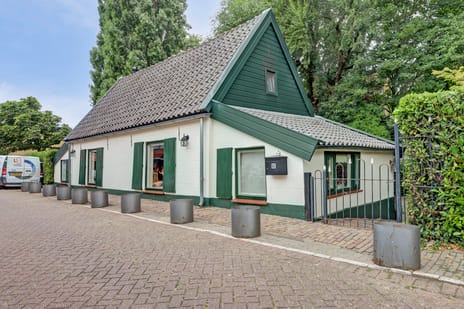 undefined main image
