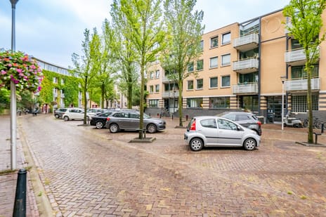 Arthur van Schendelstraat 101 tertiary image