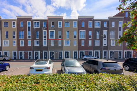 undefined main image
