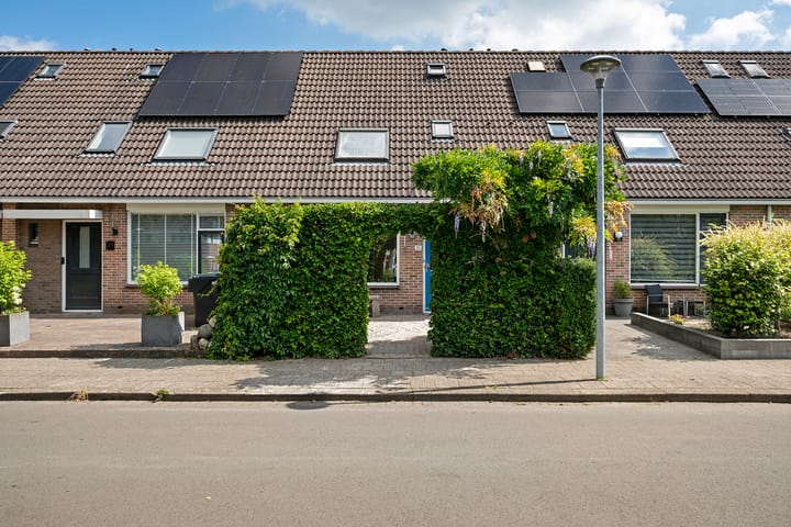 Veenwortel 25 main image