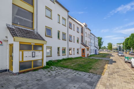 undefined main image
