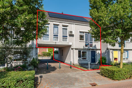 undefined main image