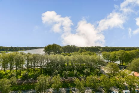 Afbeelding van Burgemeester Hogguerstraat 1071 - Tweede foto