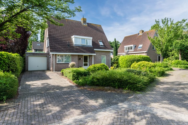 Bieselaar 55 main image
