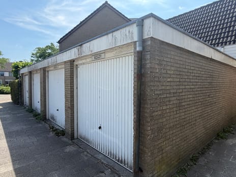 undefined main image