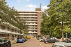 Afbeelding van Bolestein 290 - Derde foto