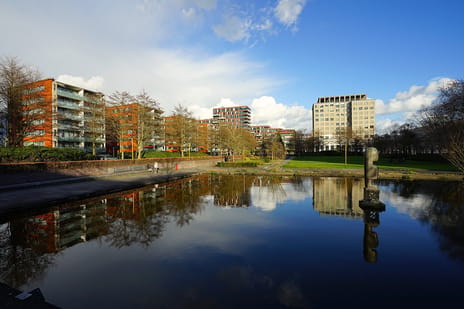 undefined main image