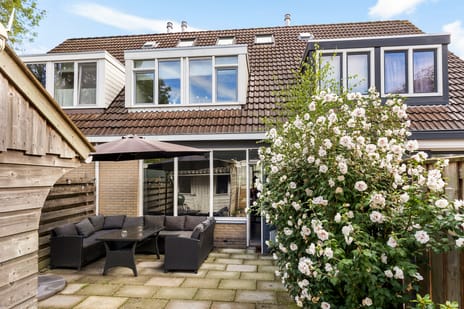 Afbeelding van Barten 3 - Tweede foto