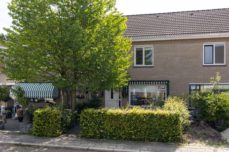 undefined main image
