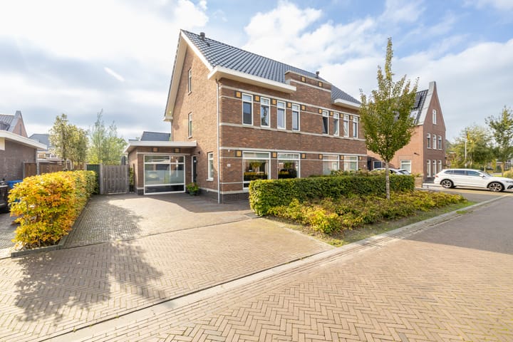 Vlinderslag 50 main image
