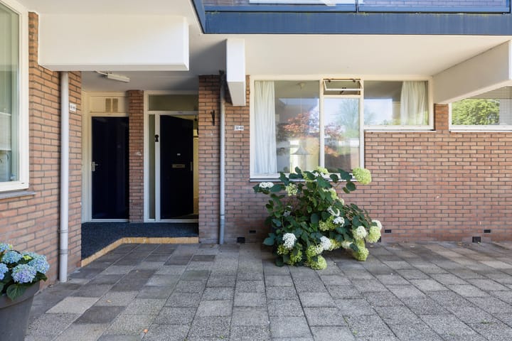 Nijenheim 3269 main image