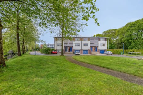 Nienoordshaven 19