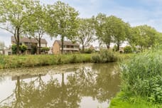 Afbeelding van Koperwiek 4 - Tweede foto