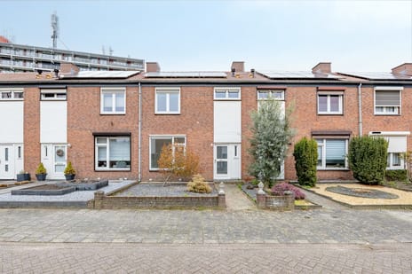 undefined main image