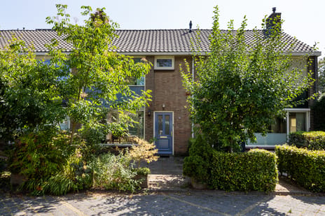 undefined main image