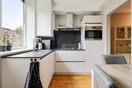 Adriaan van Ostadestraat 41 tertiary image
