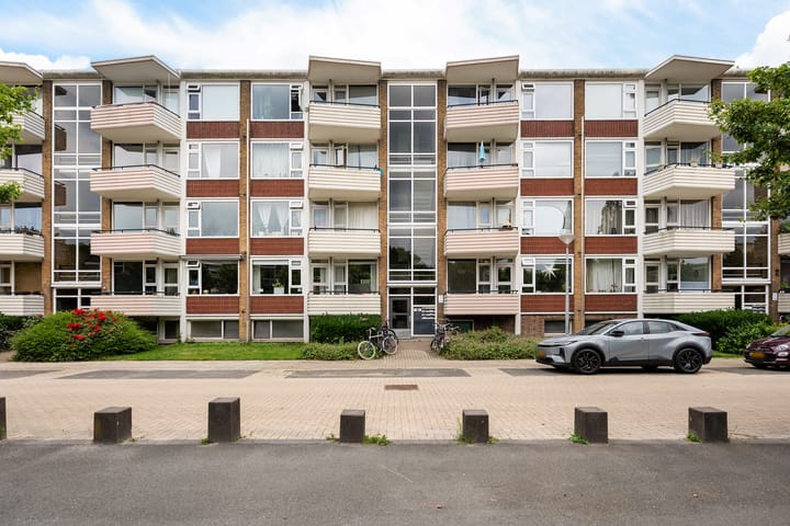 Adriaan van Ostadestraat 41 main image