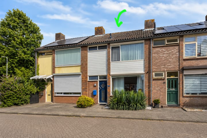 Adriaen van Ostadestraat 33 main image