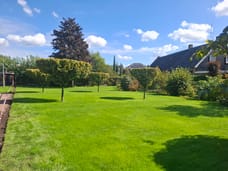 Afbeelding van Westrik - Tweede foto