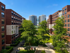 Afbeelding van Welnastraat 235 - Tweede foto