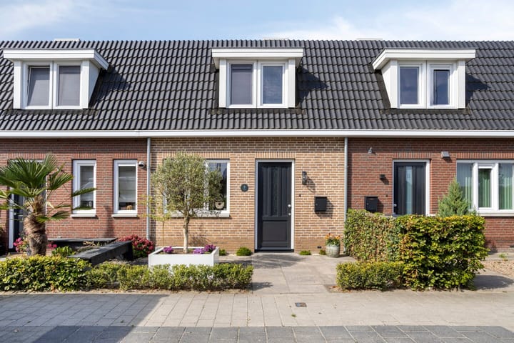 Bezaan 9 main image