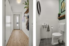 Image of Roodbont 55 - Third image