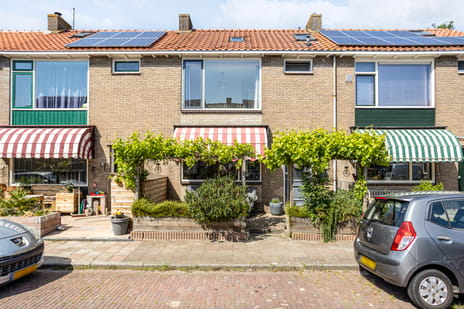 undefined main image