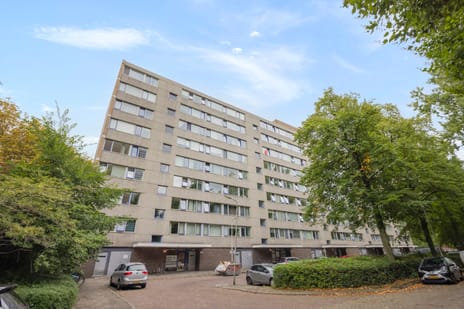 Roland Holstlaan 1013 main image