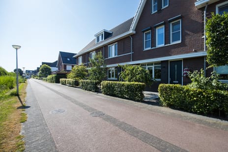 Afbeelding van Zwarte Roodstaart 2 - Tweede foto