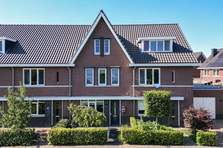 Zwarte Roodstaart 2 main image