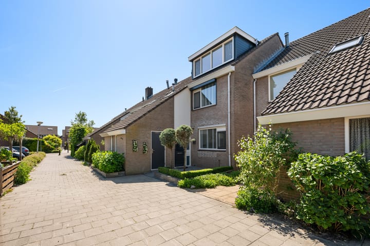 Schijfmos 21 main image