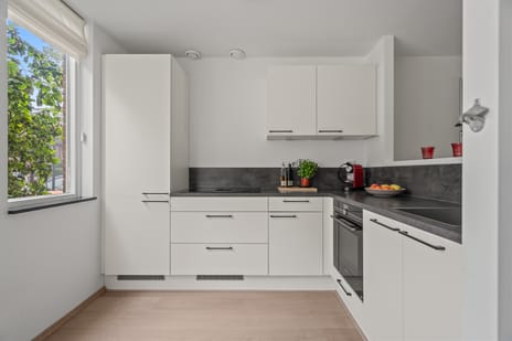 Karekietweide 9 tertiary image