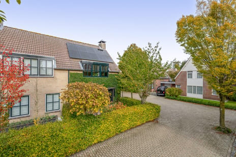 Afbeelding van Reiger 32 - Tweede foto