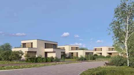 't Buitenryck Weidezicht-West