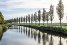 Afbeelding van Poldermolen 3 - Tweede foto