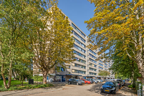 Roland Holstlaan 884 main image