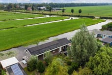 Afbeelding van Waterlelie 10 - Derde foto