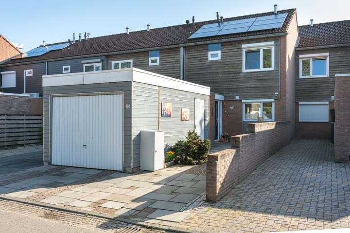 Huismus 36 main image