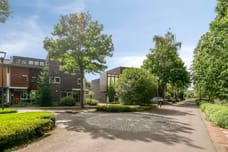 Afbeelding van Grassnip 2 - Tweede foto