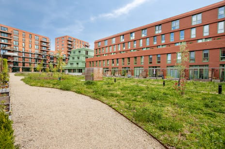 undefined main image