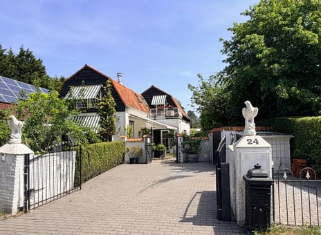 undefined main image