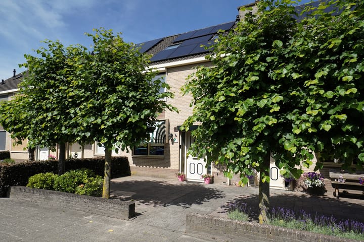 Buizerdstraat 7 main image