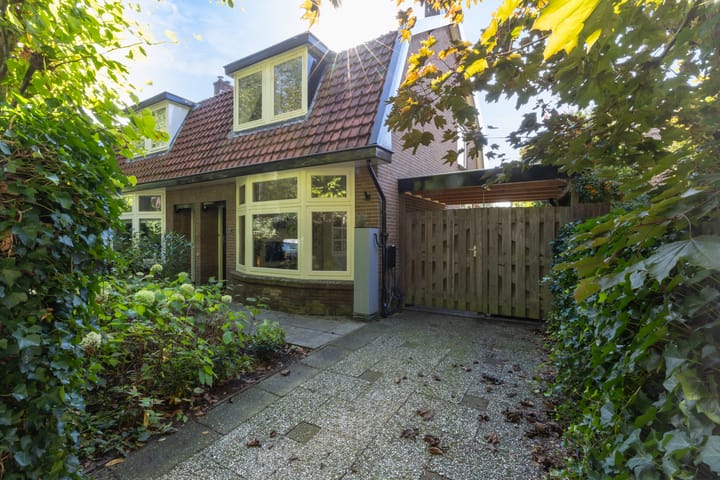 van Oosthuyselaan 51 main image