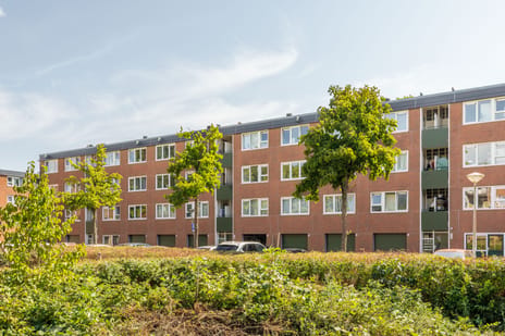 undefined main image