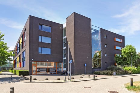 undefined main image